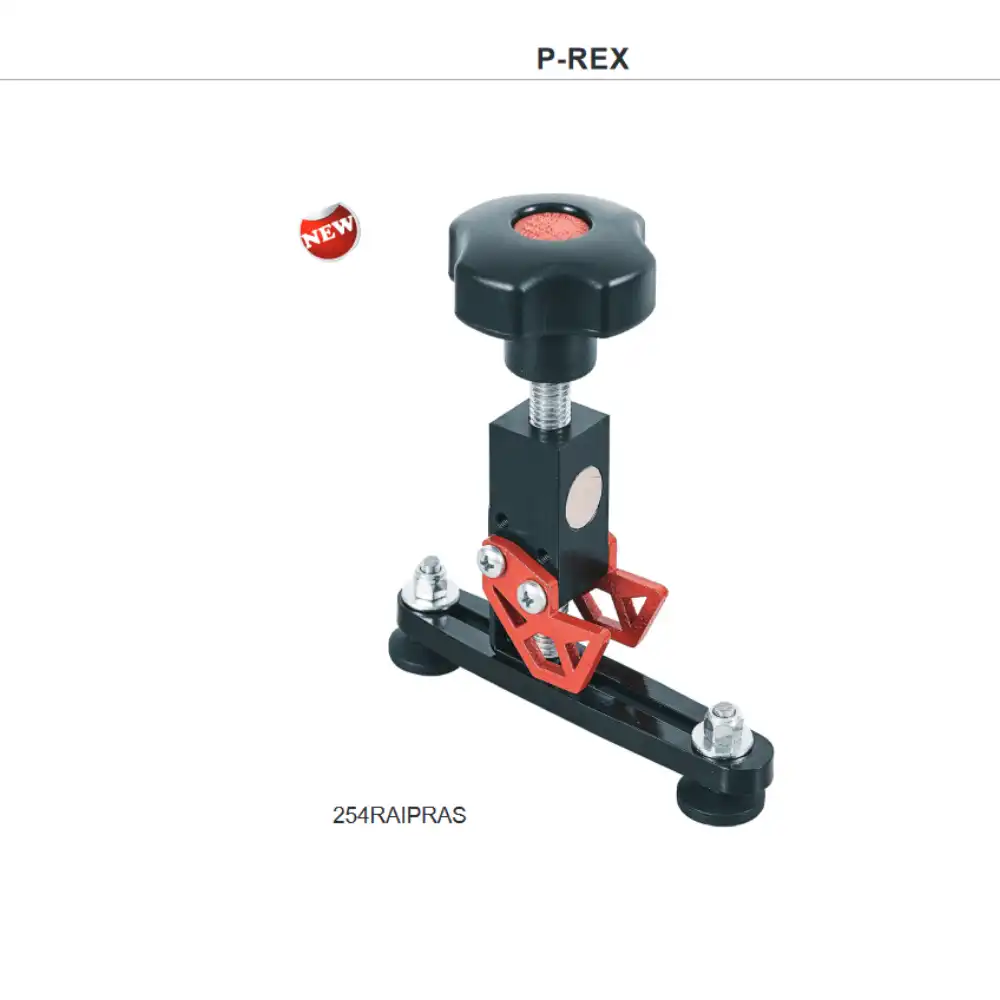P-REX1